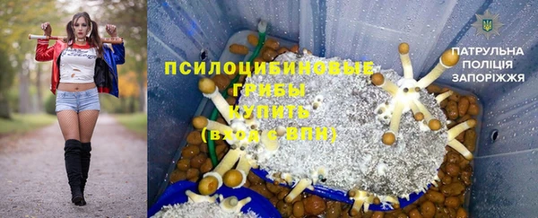 стафф Навашино