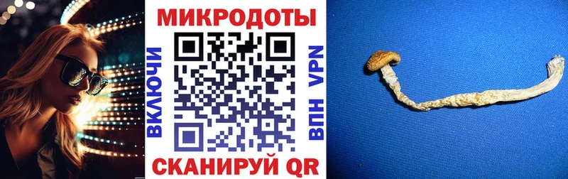 Псилоцибиновые грибы прущие грибы  МЕГА ССЫЛКА  Славск 